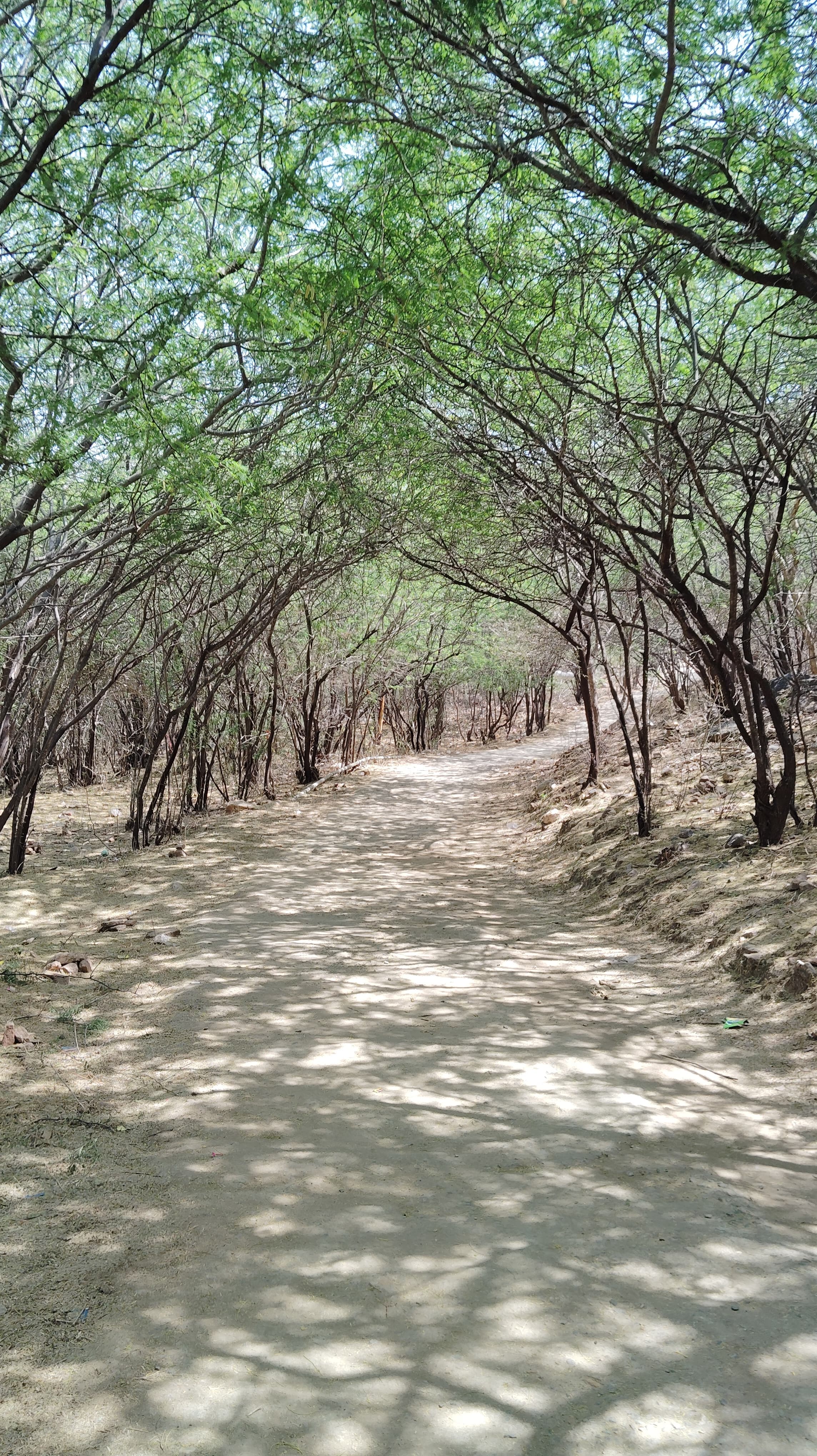 The path that led to this work